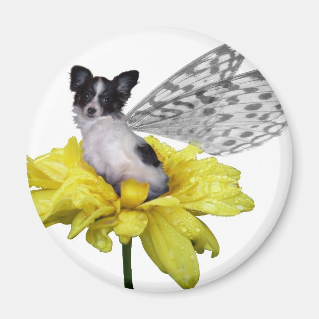 Íman Papillon Dog Fairy Magnet (Frente)