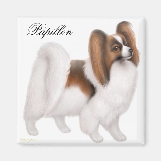 Íman Papillon Dog Magnet (Frente)