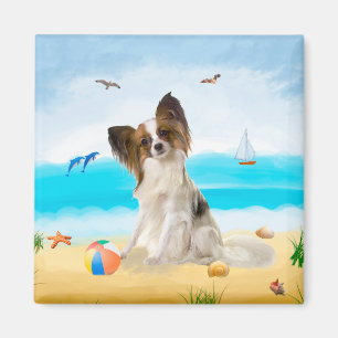Íman Papillon Dog na Praia