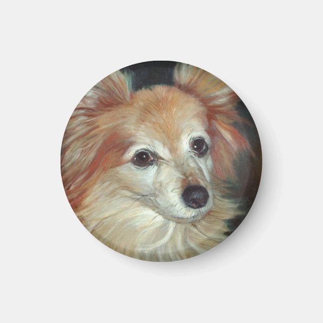 Íman Papillon Magnet (Frente)