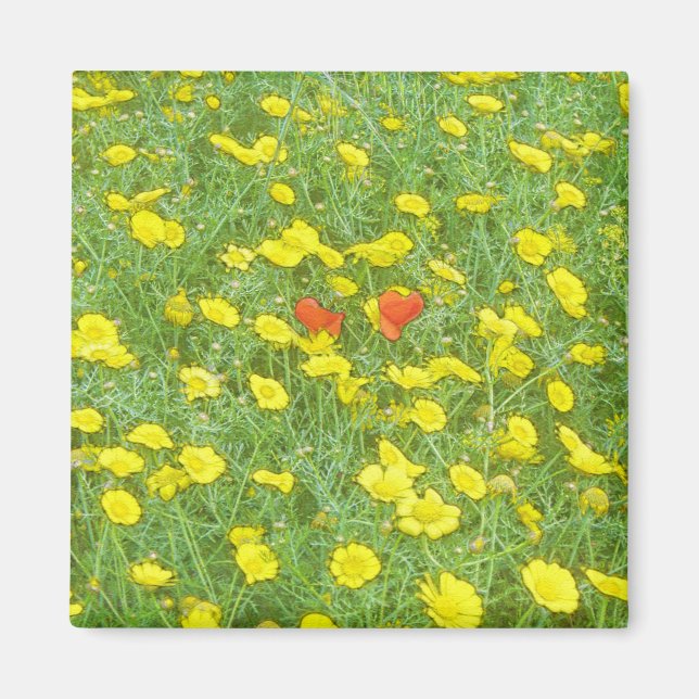 Íman Papoilas aquáticas (Frente)