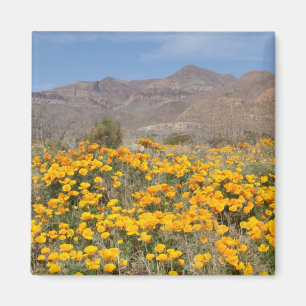 Íman Papoilas de El Paso
