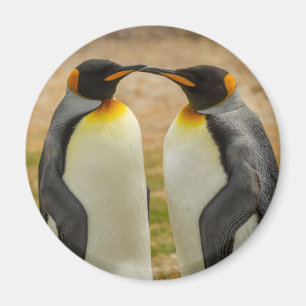 Íman Par de pinguins-imperadores, Ilhas Falkland