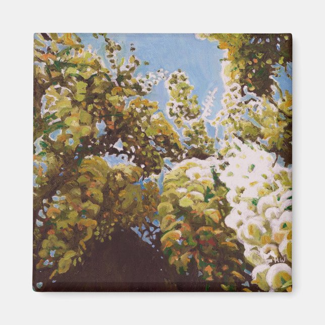 Íman Para a wisteria 2011 (Frente)