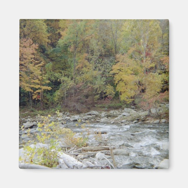 Íman Para as Florestas (Frente)