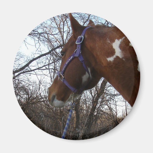 Íman Para as Florestas Eu Olho (Frente)