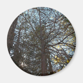 Íman Para cima através das filiais