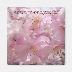 Íman Para minha avó! ímã Flores de árvore rosa em flor