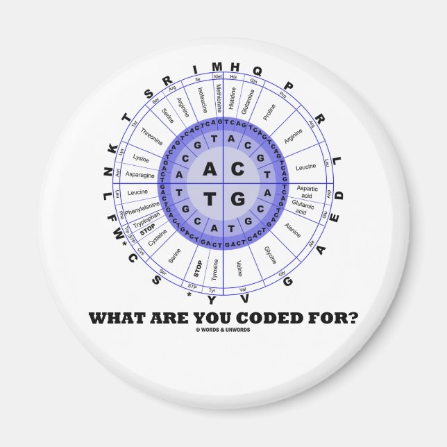Íman Para Que Você Está Codificado? (Amino Acid Wheel) (Frente)