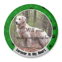 Para sempre em meu Cachorro ou Memorial de Gato