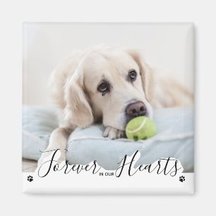 Íman Para sempre em nosso Memorial do Cachorro