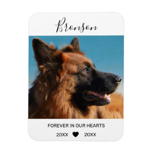 Íman Para sempre em nossos corações Memorial Pet Pho