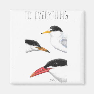 Íman Para Tudo Tern, Tern, Tern