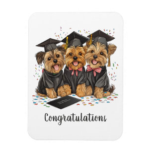 Íman Parabéns Graduação Yorkshire Terrier Dogs