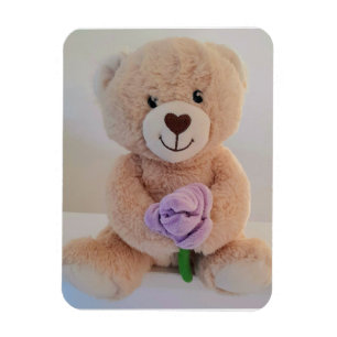 Íman Parabéns pelo seu novo bebê Urso de pelúcia Fofo 