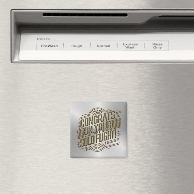 Íman Parabéns pelo seu voo Solo de 1rua (In Situ (Dishwasher))
