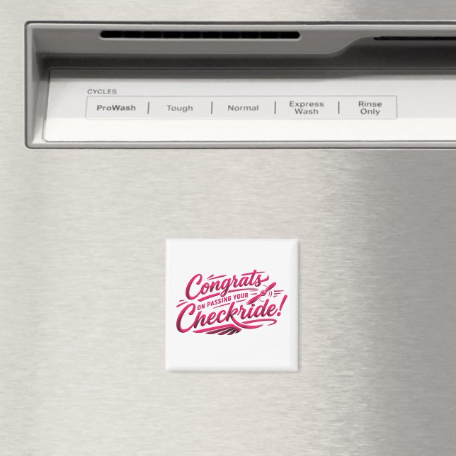 Íman Parabéns por passar na sua checkride! (In Situ (Dishwasher))