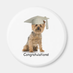 Íman Parabéns Yorkie de graduação