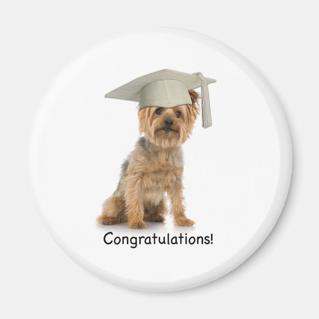 Íman Parabéns Yorkie de graduação (Frente)