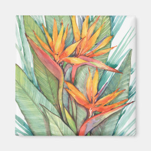 Íman Paraíso Botânico Tropical II