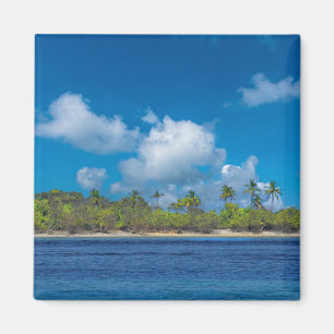 Íman Paraíso de Ilha Tropical com Palmeiras