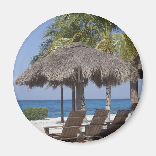 Íman Paraíso de Praia Mexicano (Frente)