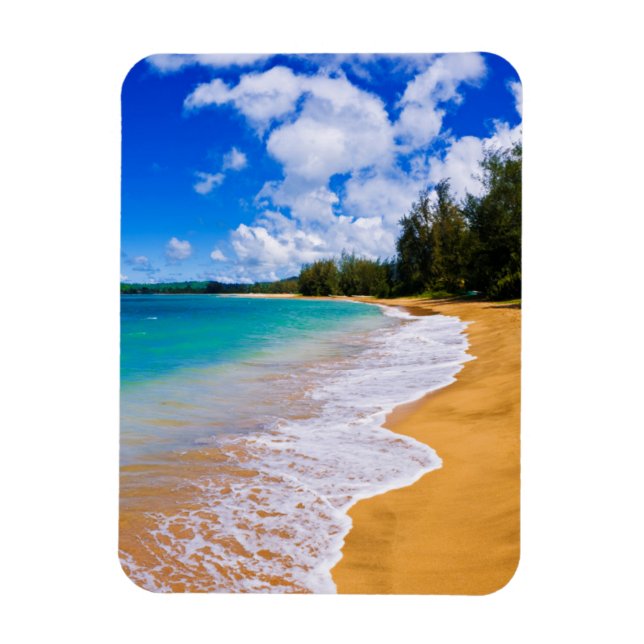 Íman Paraíso de praia tropical, Havaí (Vertical)