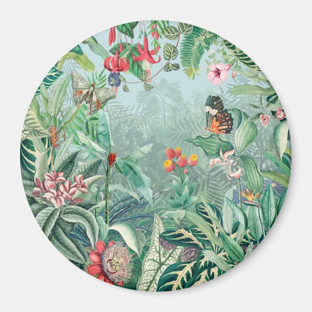 Íman Paraíso tropical (Frente)