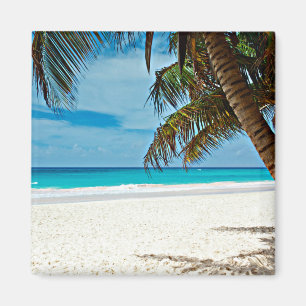 Íman Paraíso tropical