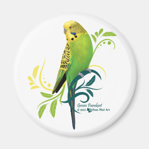 Íman Parakeet verde