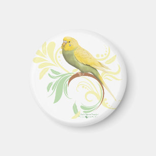 Íman Parakeet verde Pastel