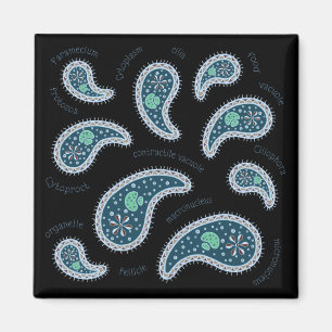 Íman Paramecia Paisley Biology Science Microbe Dark