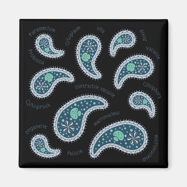 Íman Paramecia Paisley Biology Science Microbe Dark (Frente)