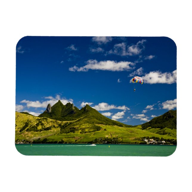 Íman Paraseando dentro do View of impressionant Lion (Horizontal)