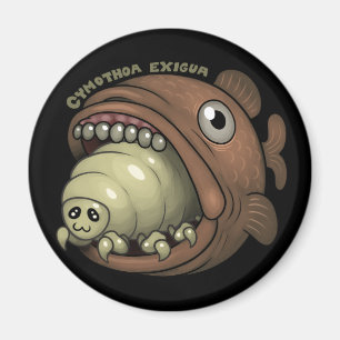 Íman PARASITA: Exigua de Cymothoa