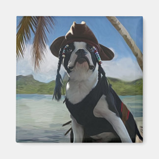 Íman Pardal do Capt Jack