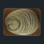 Íman Pareidolia<br><div class="desc">Pareidolia
Is the mind's ability to see an image within natural
and random objects.
H.B. Miller  2000  Talking Canyons,  New Mexico</div>