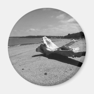 Íman Parque de Descoberta de Driftwood