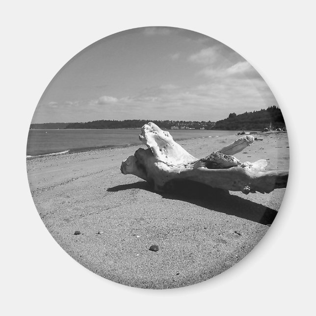 Íman Parque de Descoberta de Driftwood (Frente)