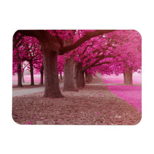 Íman Parque de fantasia rosa