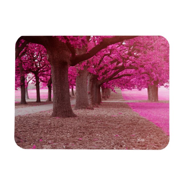 Íman Parque de fantasia rosa (Horizontal)
