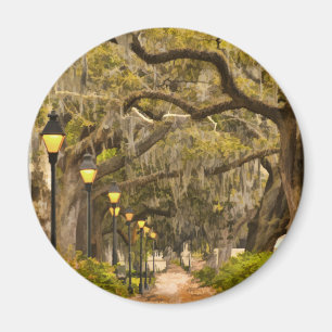 Íman Parque de Forsyth - foto, savana, Geórgia (GA) EU
