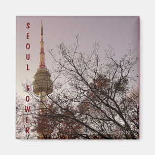 Íman Parque de Namsan da torre de Seoul, Seoul, Coreia