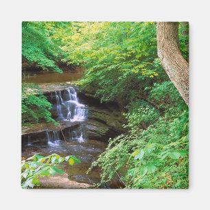 Íman Parque esfomeado da rocha, Illinois