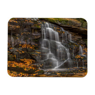 Íman Parque Estadual Blackwater Falls