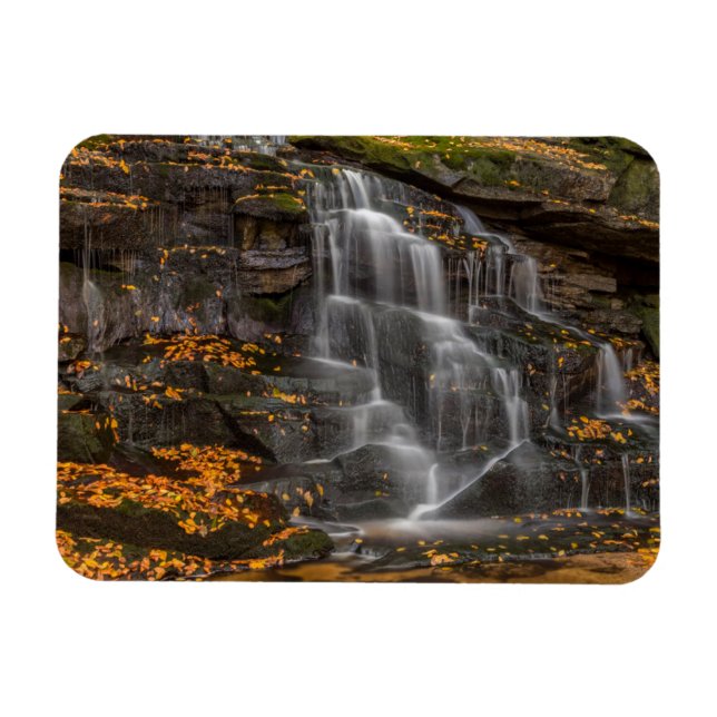 Íman Parque Estadual Blackwater Falls (Horizontal)