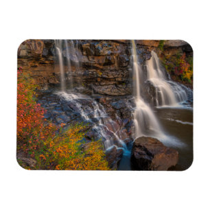 Íman Parque Estadual Blackwater Falls Virgínia Ociden