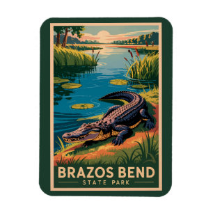 Íman Parque Estadual Brazos Bend Texas Viagem Arte Vint