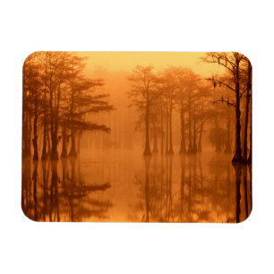 Íman Parque Estadual de Cypress Trees George Smith