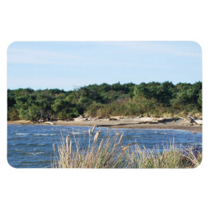 Íman Parque Estadual de Nehalem Bay